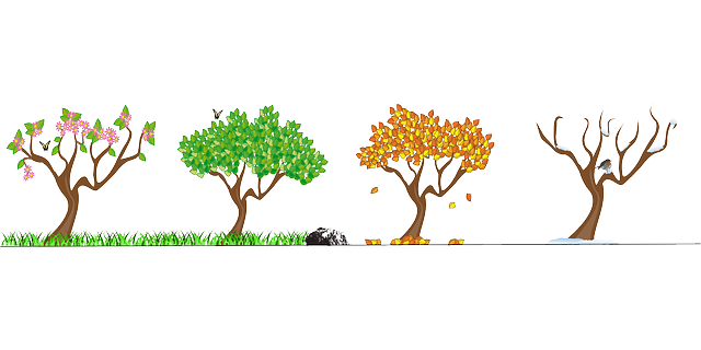 seasons-158601_640